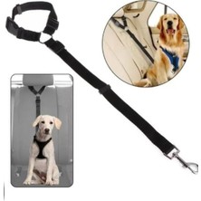 Vera Concept Store Evcil Hayvan Araç Emniyet Kemeri Kedi Köpek Oto Emniyet Tasması - YS1120TSM