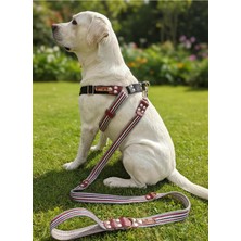 Vera Concept Store Köpek Göğüs Tasması Ayarlanabilir ve Gezdirme Kayışı 2'li Set Büyük Irk Çok Renkli