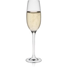 Vera Concept Store Glass Edition 6'li Şampanya Kadehi Seti - 150 ml