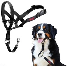 Vera Concept Store Durağı'nın Halti Headcollar, Köpek Harness Küçük, Orta ve Büyük Köpekler, Siyah, Boyut 4 Için, Lead Üzerinde Çekme