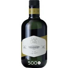 Vera Concept Store Yeşil Seri 500 ml X2LI Milas Memecik Erken Hasat Soğuk Sıkım Dengeli Meyvemsi