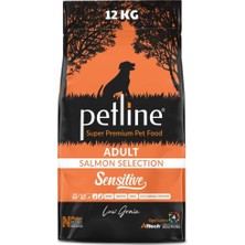 Vera Concept Store Sensitive Skin & Coat Kuru Köpek Maması, Deri ve Tüy Hassasiyeti Olan, Yetişkin Köpekler Için, Tahılsız, Somon Balıklı, 12KG
