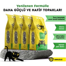 Vera Concept Store Hassas Kediler Için Tozsuz, Topaklanan, Kokusuz Bentonit Kedi Kumu, 4X5KG, 4lü Avantaj Paketi