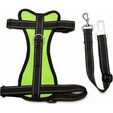 Vera Concept Store Köpek Araç Emniyet Kemeri ve Tasması Arnav Sarı, M