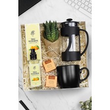Vera Concept Store French Press & Siyah Kupa & Kolonya & Canlı Sukulent Çiçek & Teashop 2'li Bitki Çayı Hediye Seti