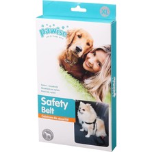 Vera Concept Store Emniyet Kemerli Köpek Tasması Small