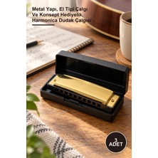 Yenilig 3 Adet Mızıka – Metal Yapı, El Tipi Çalgı ve Konsept Hediyelik, Harmonica Dudak Çalgısı