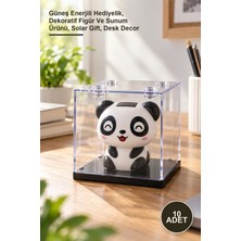 Yenilig 10 Adet Pleksi Kutuda Panda – Güneş Enerjili Hediyelik, Dekoratif Figür ve Sunum Ürünü, Solar Gift, Desk Decor