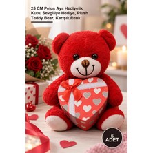Yenilig 5 Adet Hediyelik Kutulu Ayıcık – 25 cm Peluş Ayı, Hediyelik Kutu, Sevgiliye Hediye, Plush Teddy Bear, Karışık Renk
