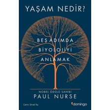 Str Store Yaşam Nedir?