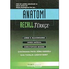 Str Store Anatomi Recall (Türkçe)