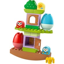 Str Store Denge ve Dizme Ağacı