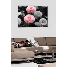 Toyigoo Talya Tablo Çiçek Tabloları Özel Tasarım Kasımpatı. Çeşitler Için Mağazamızı Ziyaret Ediniz.. 50X35 NO-1743