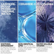 Toyigoo La Roche-Posay Toleriane Hassas Cilt Için Nemlendirici Temizleyici Jel 400ML