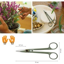 Toyigoo Urban Plant Care, Tutuculu Küçük Bitki Makası, Oda Bitkilerinde Ince Kesimler Için, Toplam Uzunluk 17 Cm, Paslanmaz Çelik/plastik, Koyu Yeşil/siyah, 1075315