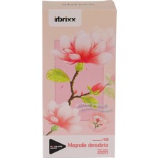 Toyigoo P655075 Panlos Manolya 68 Parça Block Oyuncak