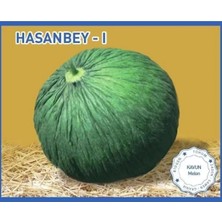 Biogen Hasanbey1 Kavun Tohumu 25GR 1 Paket