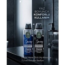 Eyüp Sabri Tuncer 200 ml Erkek Deodorant Ikilisi, Active ve Sport, Doğal Nane Özlü Diş Macunu 7,5 ml Kutusuz Hediye