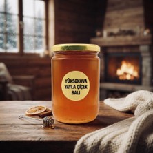 Çamlıca Bitkisel Aktar Yüksekova Süzme Çiçek Balı 850 gr