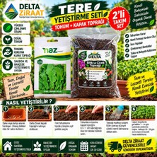 Delta Ziraat Tere Tohumu + 1,5 kg Kapak Toprağı 2'li Yetiştirme Seti | Saksı ve Bahçe Için