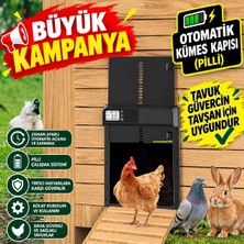 Ucuzcu Market Otomatik Kümes Kapısı   (Tavuk-Güvercin-Tavşan Gibi Hayvanlar Için Uygundur)