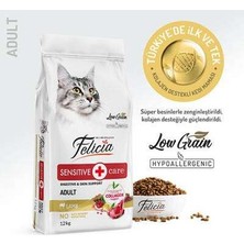 Birsence Hypoallergenic Kuzulu Düşük Tahıllı Yetişkin Kedi Maması 12 kg