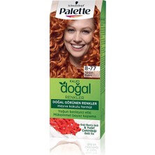 3 Adet Palette Saç Boyası Natural Colors 8-77 30 ml