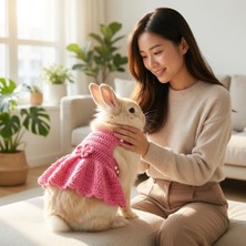 Lady Fify Tavşan ve Ginepig Için Pembe Elbise