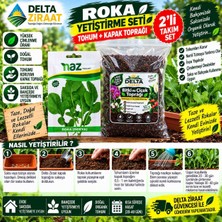 Delta Ziraat Roka Tohumu + 1,5 kg Kapak Toprağı 2'li Yetiştirme Seti | Saksı ve Bahçe Için