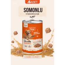 Merry Yetişkin Köpekler Için Somonlu Parça Etli Konserve Yaş Köpek Maması 400 G - 6 Adet