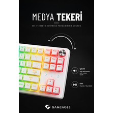 Gameagle Dryo Rgb Mekanik Oyuncu Klavyesi Red Switch Anti-Ghosting Multimedya Kontrollü Tr Q