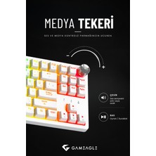 Gameagle Dryo Rgb Mekanik Oyuncu Klavyesi Red Switch Anti-Ghosting Multimedya Kontrollü Tr Q
