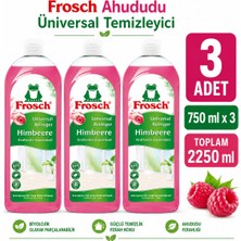 Frosch Universal Ahududu Kokulu Çok Amaçlı Yüzey Temizleyici 3 × 750 ml (Toplam 2.250 Ml)
