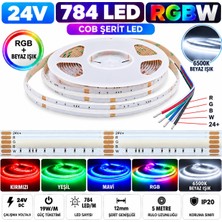 Powerr Led Aydınlatma 5 Metre 24V 784 LED 12 mm Rgb+W Rgb ve Beyaz Cob Şerit LED 5 Pin