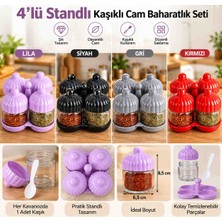 Nilavia 4'lü Standlı Cam Baharatlık Seti