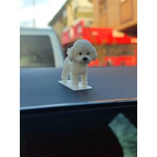 Sevimli Mini Poodle Köpek Araba Süsü Torpido Süsü