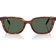 Ray-Ban 0RB2243D 55 954/71