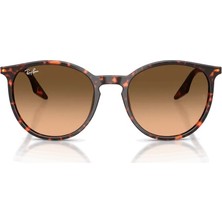 Ray-Ban 0RB2204 54 14293B