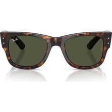 Ray-Ban 0RB0840S 51 902/31