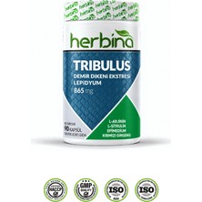 Herbina Tribulus Terrestris Demir Dikeni Ekstresi Lepidyum 90 Kapsül