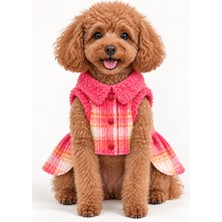 Patilemece Pembe Şanel Kedi Köpek Elbisesi