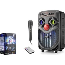 Ndr NDRP66 Karaoke Mikrofonlu Bluetooth Hoparlör Fm Radyo 10W 8 Inç Rgb Siyah