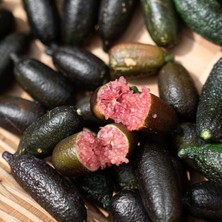 Taber Aşılı Australian Red Finger Lime Fidanı – Kırmızı Içli Havyar Limonu, Nadir Parmak Limon