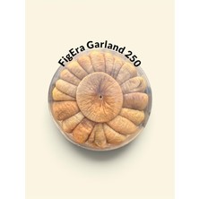 FigEra Aydın Germencik Kuru Dağ İnciri 250GR Pvc Garland incir