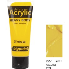 Bigpoint Akrilik Boya 75 ml Yellow Mid 227