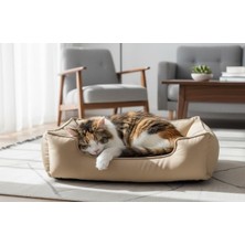 Kawin Brt+Pet Kedi Yatağı, Küçük Irk Köpek Yatağı 60X45 Krem Tonlarda, Bej