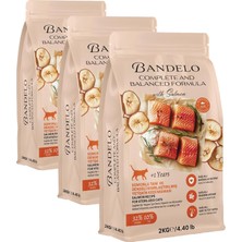 Kawin Bandelo Yetişkin & Yavru Kuru Kedi Maması - Vitamin Ilaveli Tam ve Dengeli Kilo Kontrolü, Yüksek Hayvansal Protein Içerikli Kuru Mama (2 Kg, Somon) (3 Paketi)