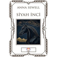 Nilüfer Yayınları Siyah Inci