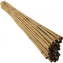 cm Doğal Bambu Bitki Destek Çubuğu 10 Adet 5-10 mm