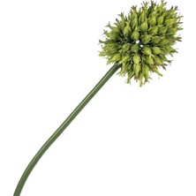 Mikasa Moor Yeşil Yapay Soğan Çiçeği 68CM